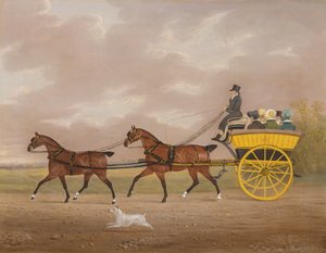 Un caballero conduciendo en tándem a un coche de paseo
